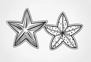 Two different star fish with olive branch behind tattoo idea