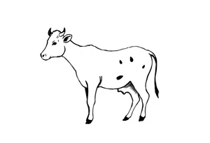 small black and white cow tattoo idea