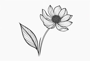 one very simple and no detailed waratha flower with stem in black and white, the few lines possible, fine-line, very minimalistic tattoo idea