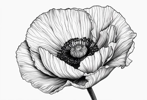 Poppy flower tattoo idea