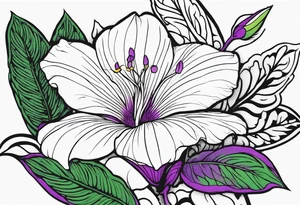An outline of a rio dipladenia flower with green and purple behind it tattoo idea