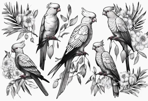Galahs sitting on wattle and eucalyptus leaves tattoo idea