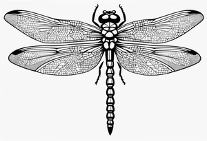 dragonfly minimal tattoo idea