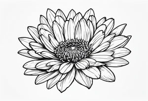 aster flower with roman numerals IX-VI-LVII tattoo idea