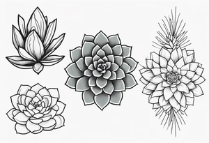 fine line. one big succulent in the middle. Two smaller succulents on the side. Dots and floral
. Sternum tattoo grey scale shading tattoo idea
