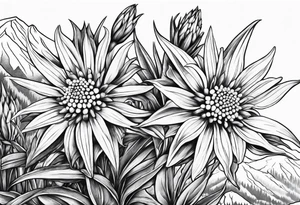 Edelweiss flower on a mountain tattoo idea