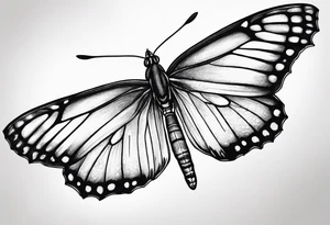 raphidophora  tetrasperma tattoo idea
