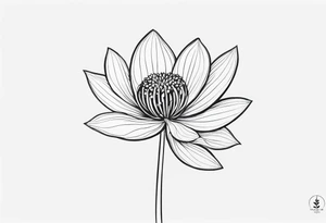one very simple and no detailed waratha flower with stem in black and white, the few lines possible, fine-line tattoo idea