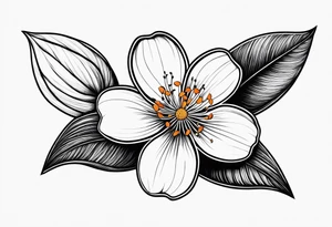 A single orange blossom next to a single orange slice. Simple line art tattoo idea
