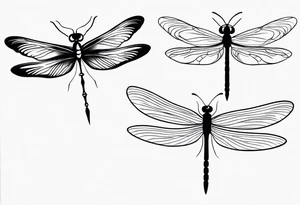 2 Dragonflies one with a lock as the chest 
and the other has a key for the tail fine black line style tattoo idea