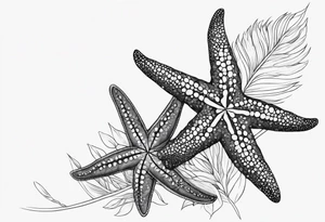 Two Starfish wrapped by olive branch tattoo idea
