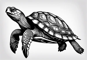 Turtle palau tattoo idea