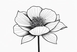 one very simple and no detailed waratha flower with stem in black and white, fine-line, very minimalistic, only a few lines/dots for the inner bloom tattoo idea