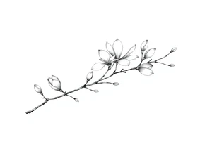 Magnolia branch long with different small almost closed flowers, with botanical details and dots tattoo idea