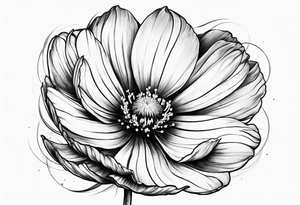 cosmos flower tattoo idea