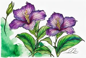 An outline of a green rio dipladenia flower and a green/purple watercolor streak in the background tattoo idea