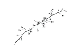 Graceful long magnolia branch with small flowers in early blossom stage with closed flowers tattoo idea