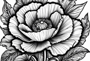 Poppy flowers with Lee Braddock written under it tattoo idea