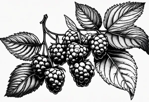 a single long raspberry branch that is growing downwards and skinny in width tattoo idea