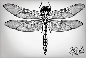 dragonfly tattoo idea