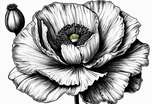 Poppy flower with the date 1/15/22 in Roman numerals tattoo idea