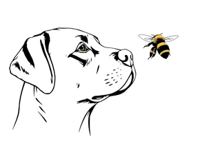 brown lab looking up at a bumble bee like it’s almost about to sniff it but they’re not touching. all black ink and fine line. tattoo idea