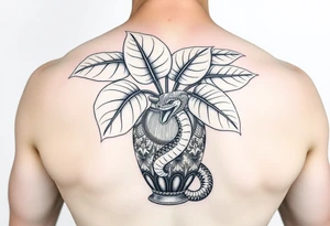 Large Decorative ornamental
 vase with large philodendron leaves with a snake wrapped around showing the head of the snake tattoo idea
