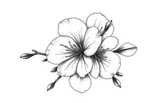 Cherry blossom with round petals tattoo idea