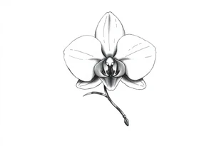Small orchid tattoo idea