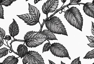 a long raspberry branch that curves to the right and focuses on line work. tattoo idea