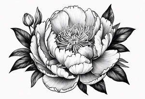 Botanical illustration peony tattoo idea