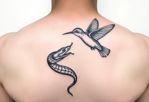 Humming bird looking down at snake while snake tail wrapped around humming bird and snake hissing at humming bird tattoo idea