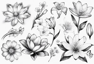Make a tattoo with Cosmos flower, lily Of the valley, water lily, snow drop, and morning glory tattoo idea