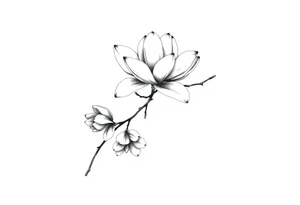 Graceful long magnolia branch with closed flowers tattoo idea