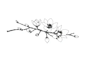 Magnolia branch long with different small almost closed flowers, with botanical details and dots tattoo idea