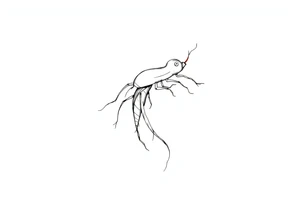 Monocotylédones tattoo idea