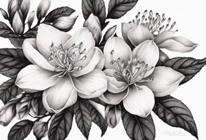 Azaleas, buds, leaves; curved design tattoo idea