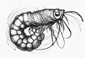 Amano shrimp tattoo idea