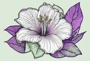 An outline of a rio dipladenia flower with a mist green and purple background tattoo idea