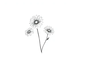 Daisies tattoo idea