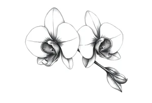 orchid with stem and leaves tattoo idea