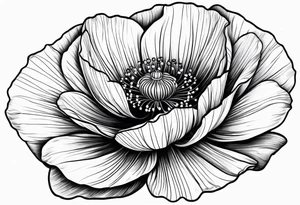 Cosmo  flower
Poppy flower tattoo idea