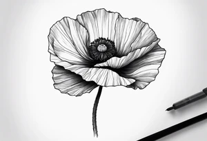 poppy plant growing out of sharp rock tattoo idea