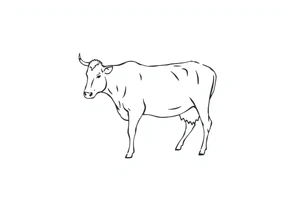 cow tattoo idea