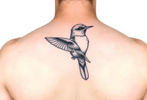 Black and white bluebird tattoo tattoo idea