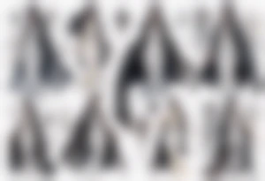a middle aged woman with black hair with streak of white dressed in a black and silver cloak tattoo idea