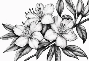 5-petal Azaleas, along a long branch tattoo idea