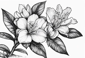 5-petal Azaleas, along a long branch tattoo idea