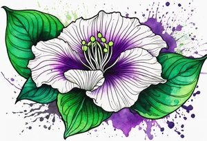 An outline of a green rio dipladenia flower and a green/purple watercolor splatter in the background tattoo idea