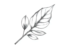 Bay leaf tattoo idea
